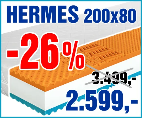 Hermes 200x80