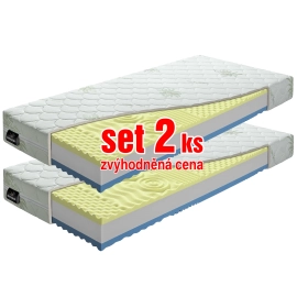 VISCO PLUS 1+1