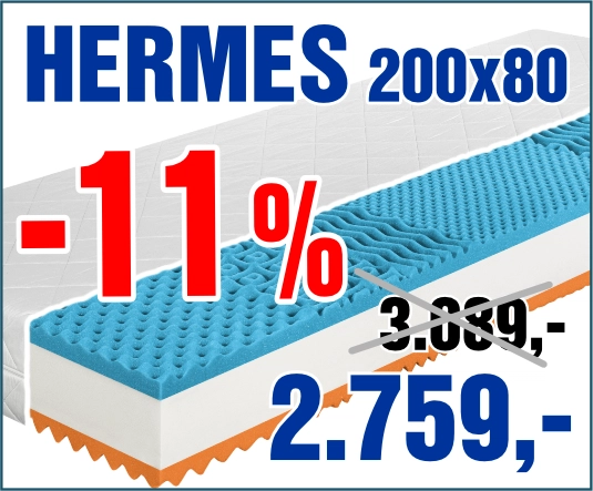 Hermes 200x80