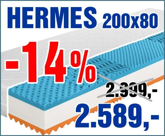 Hermes 200x80