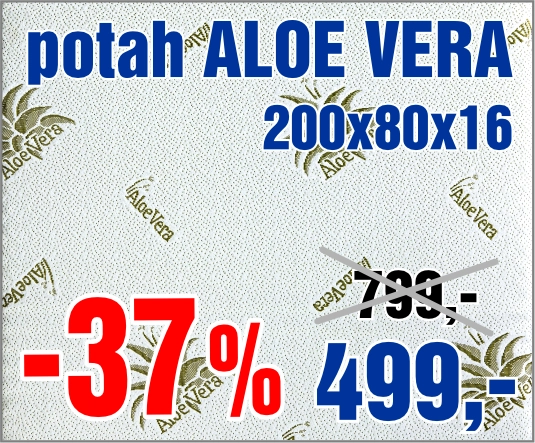 Aloe Vera 200x80x16