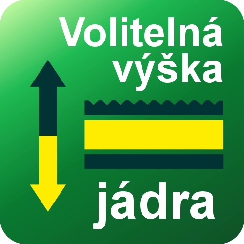 Info ikona